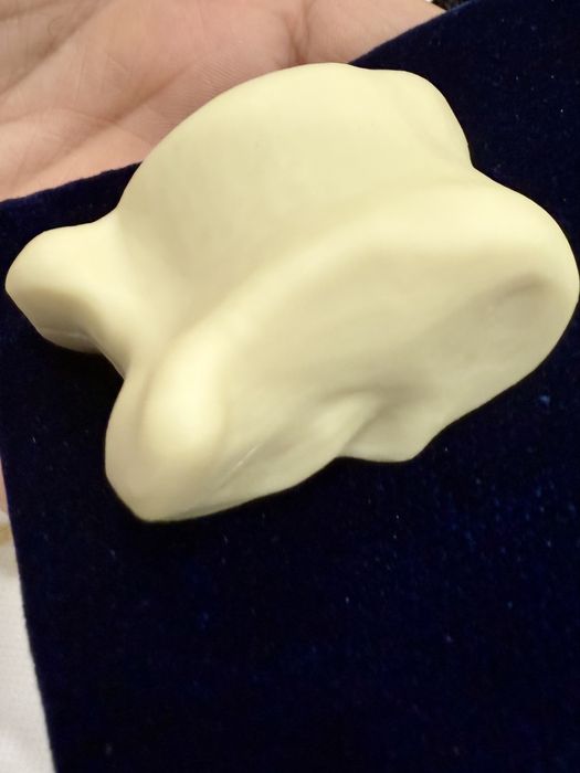 Сақа кәсіби солақай.