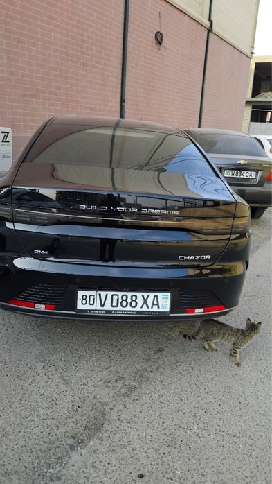 Byd chazor 3-poz 2024/25