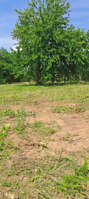 Teren de vânzare centrul orașului Tautii Magherausi