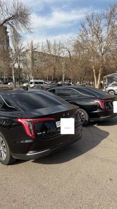 Сухой аренда Hongqi e-qm5