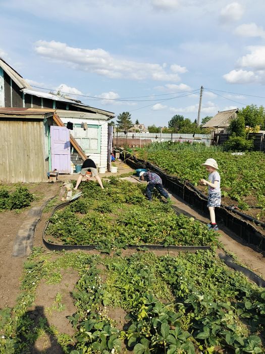 Продам дача сады 1 приватизированна