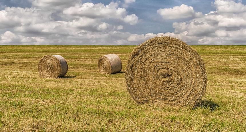 Продам сено рулон кобда хобда