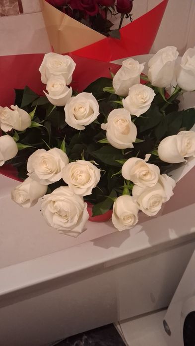 Розы огромные свежие