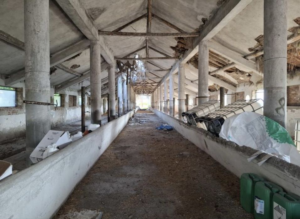 Продава се Парцел в Елхово - 4337 кв.м за 23 €/кв.м - Снимка #6