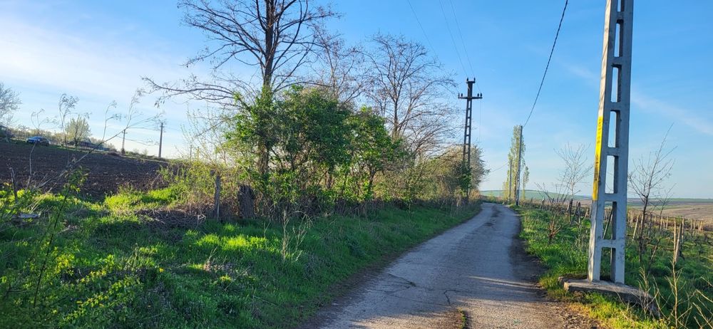 Sorogari - parcele teren direct propietar