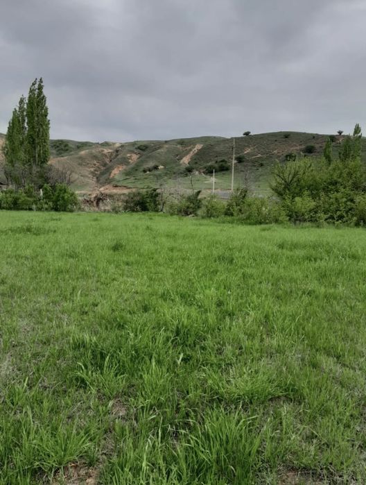 Жер сатылады.  10 соттык