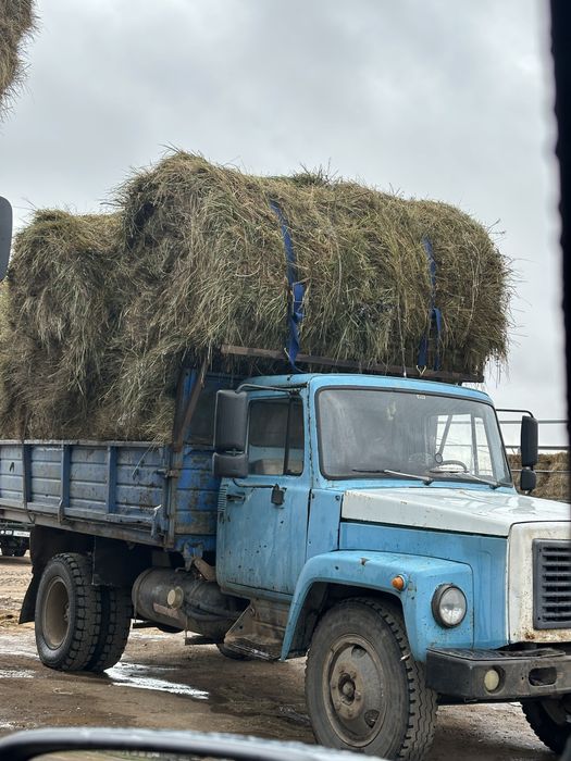 Шөп Сено рулоный и тюковые