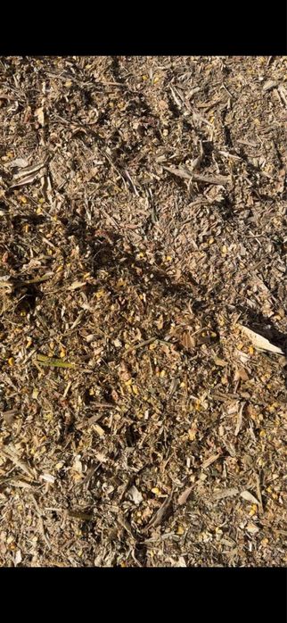 Силос , кукуруза, корм