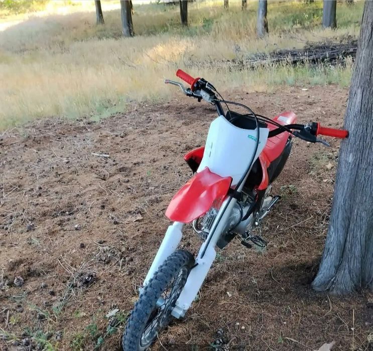 Apollo RXF125CC.