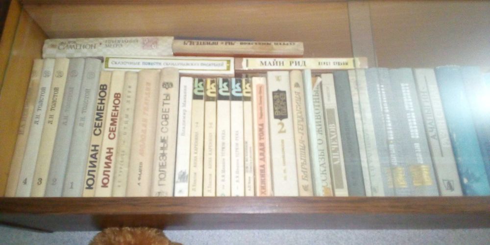 Книги разнообразные смотрите на фото