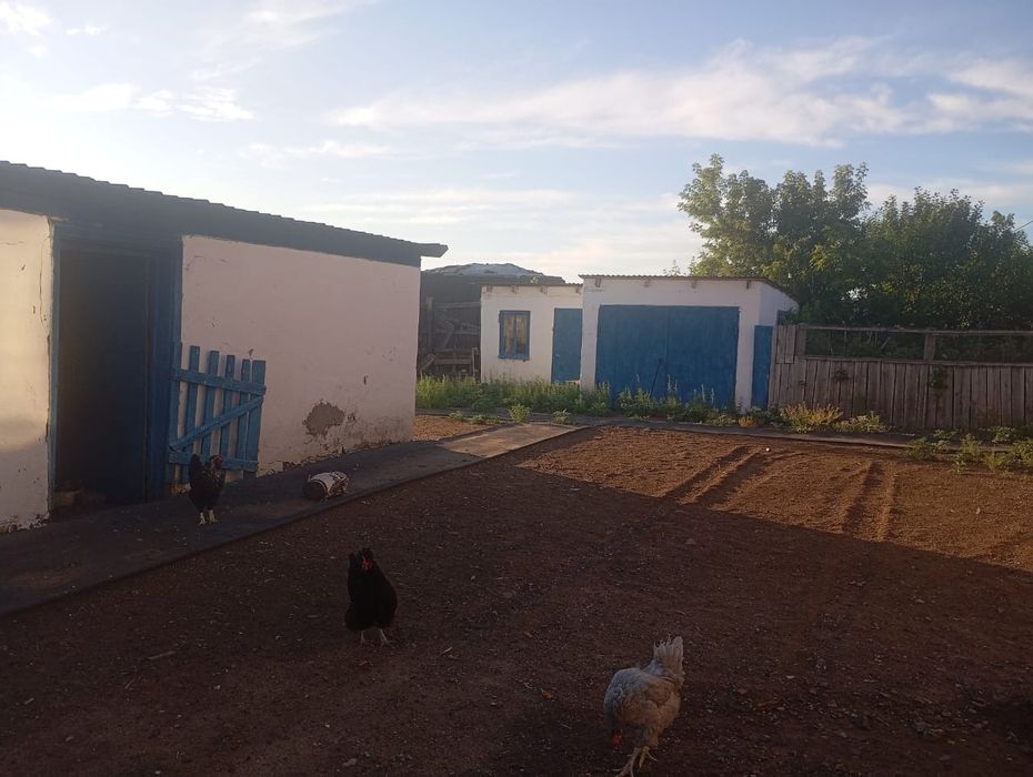 Дом в пригороде Астаны