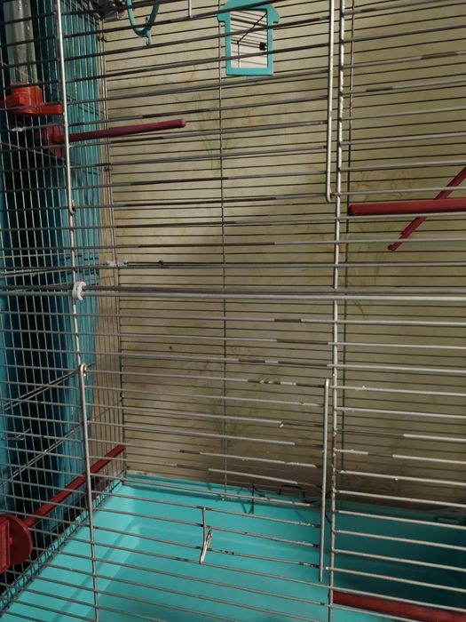 Клетка для птицы