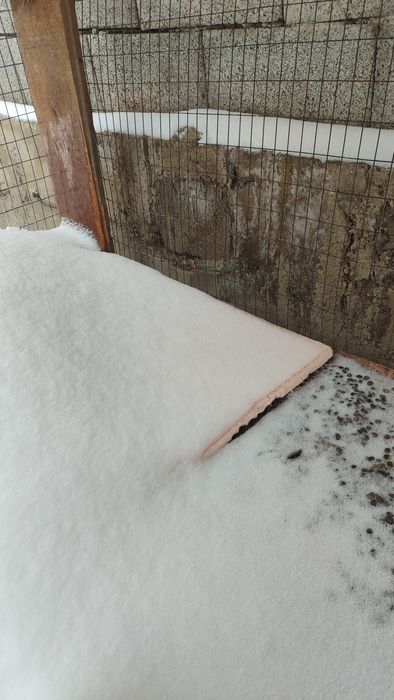 Барьер для кроликов