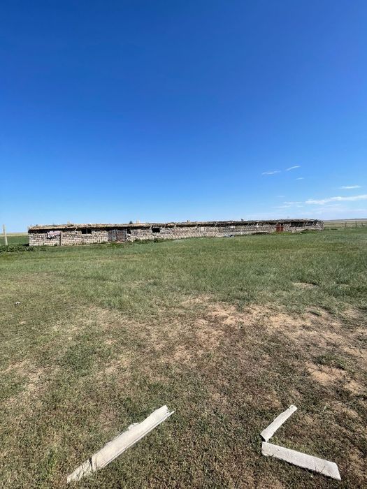 Продам КРС без скота