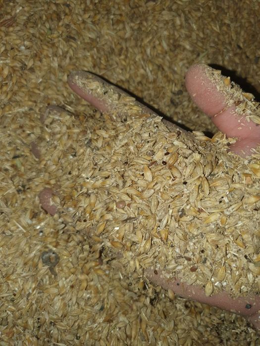 Лен Ячмень овес в мешках.