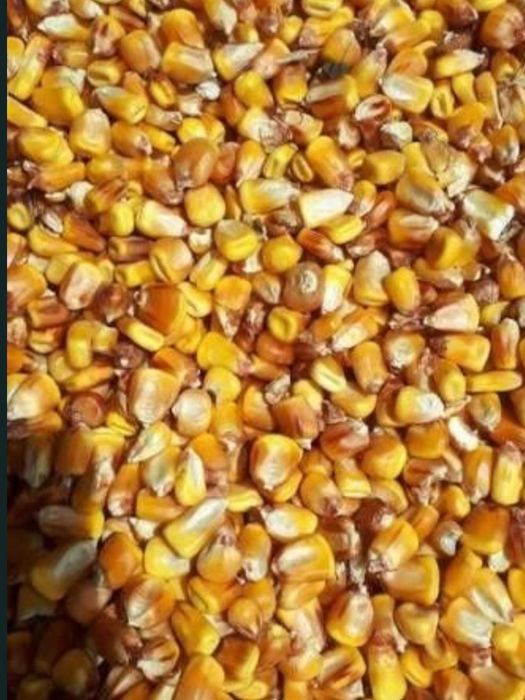 Graunte de vânzare anul 2025