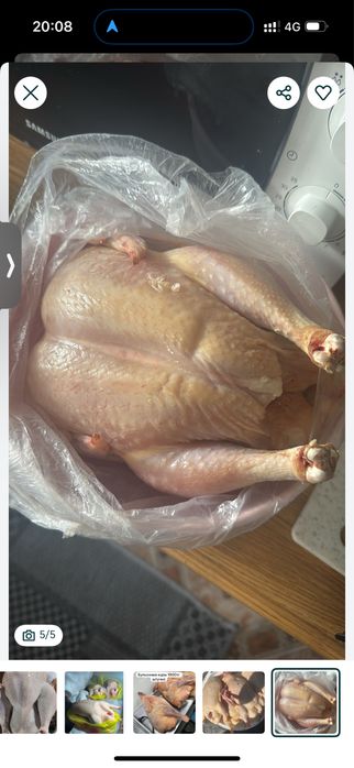 Домашние Индейка, Бройлеры, несушки