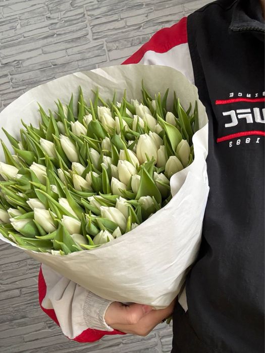 Тюльпаны Голландские