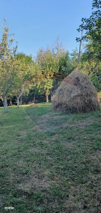 Teren 4,972mp Bertea / Strada Matraguni