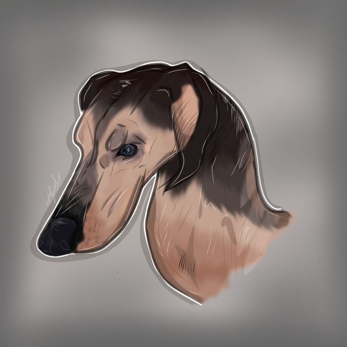 Художественные Арты животных