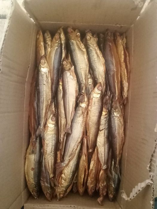 Рипус горячего копчения оптом