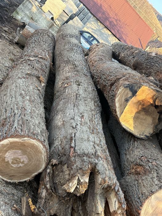 Lemne de foc de vanzare