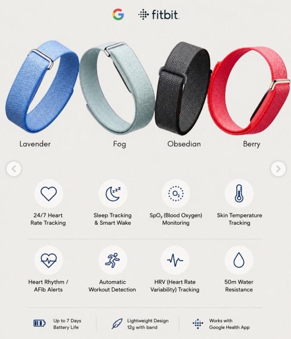 Google fitbit air