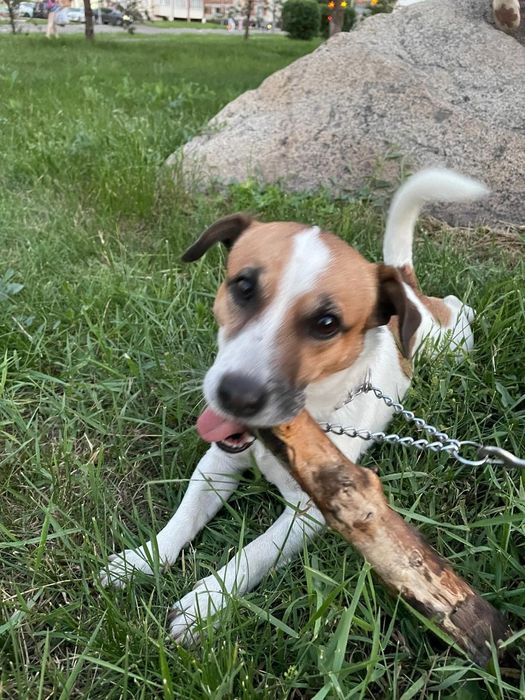 Молодой парень ищет спутницу