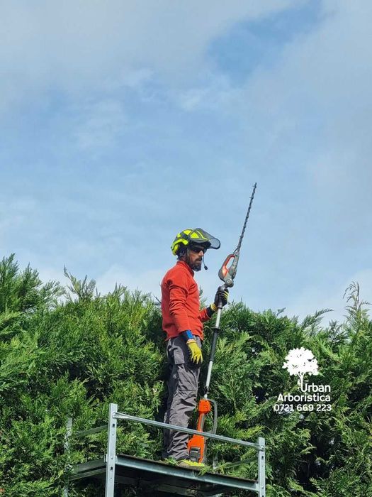 Toaletare Taiere Copaci Pomi - Servicii București Toate Sectoarele