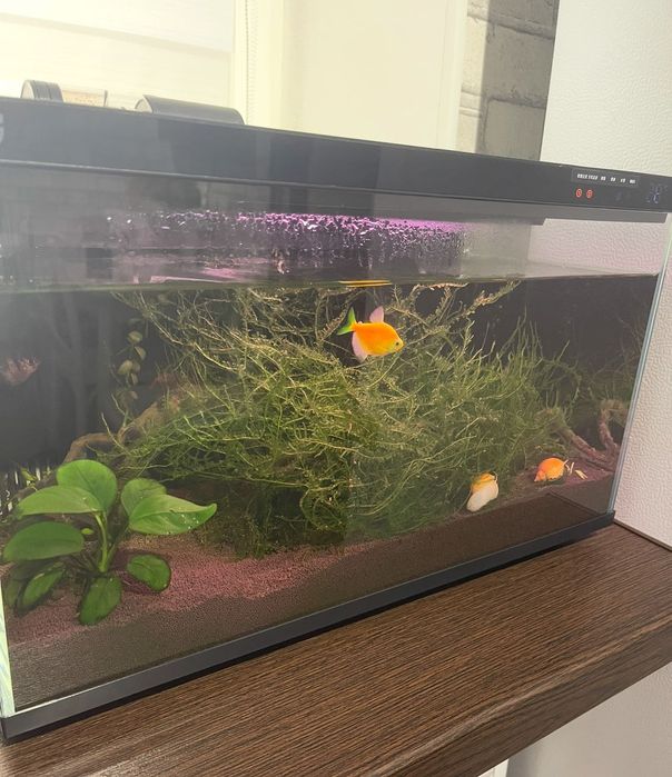 Аквариум Xiaomi Mijia Smart Fish Tank