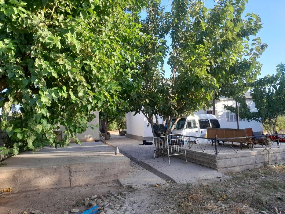 Uy bog' qishloq xovlisi