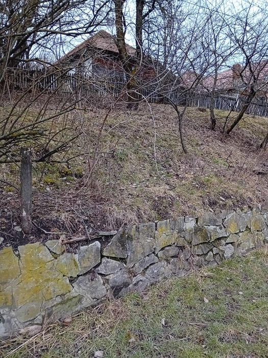 Teren Tesila, Valea Doftanei