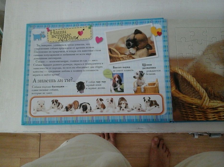 Книга- игрушка пазлы