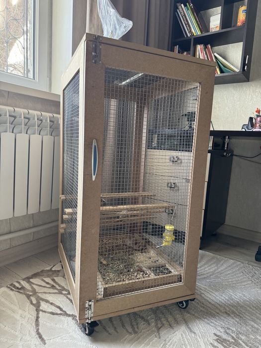 Дегу пара с клеткой