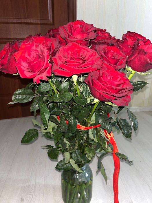 цветы красные свежие 25 шт