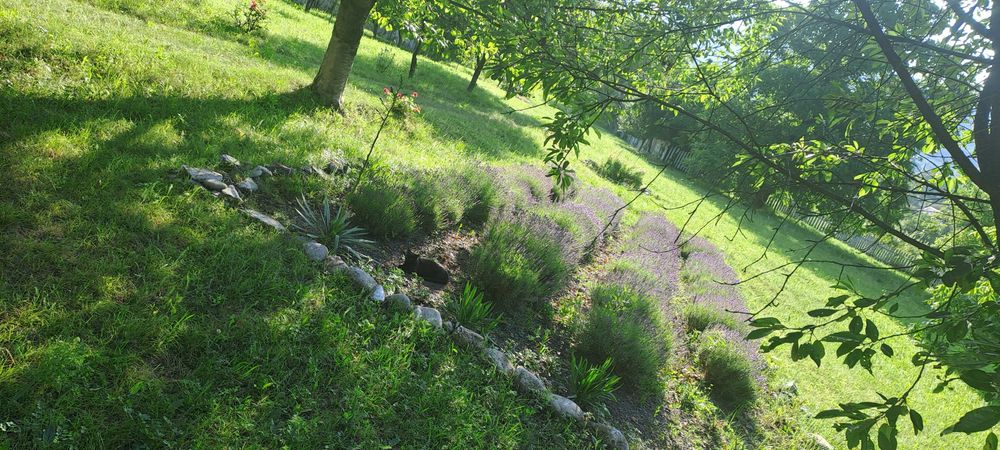 Casa individuala linga padure,liniste , intimitate,piscina, gradina, la 15 minute de Mall Piatra Neamt