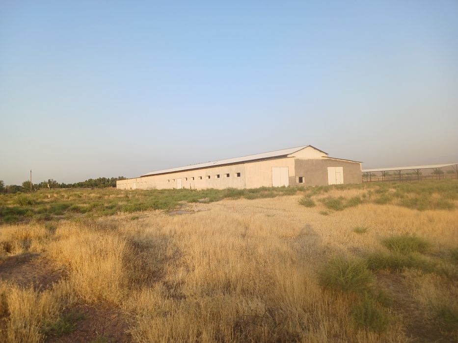 Здание и сооружение, Большая современная ферма