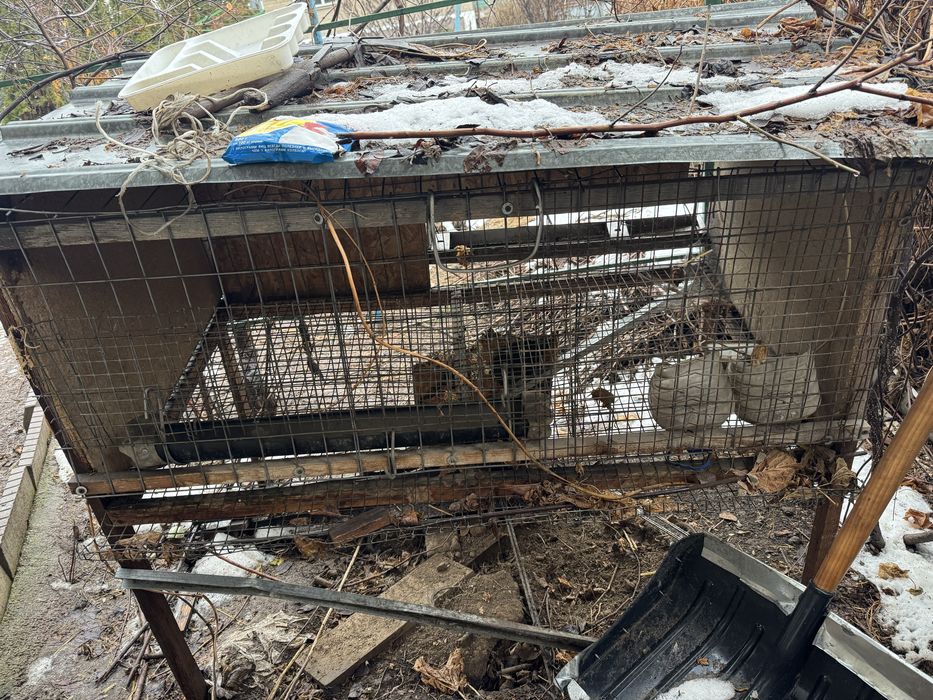 Клетки , будка для животных