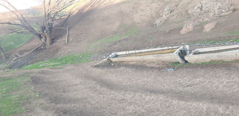 Куй кура сотилади 15 сотих куй бокишга мулжалланган