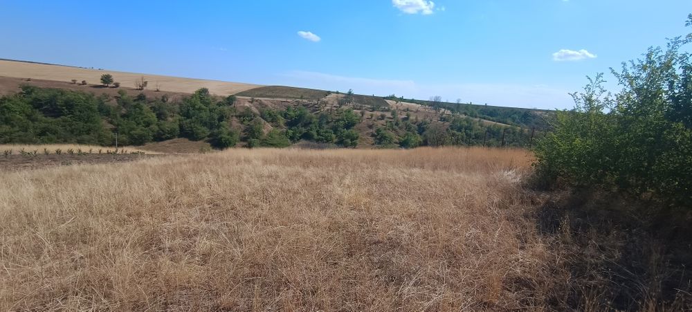 Teren la 12km, com Bucovăț