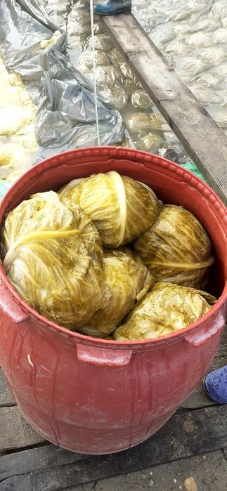 Varza murata de vanzare