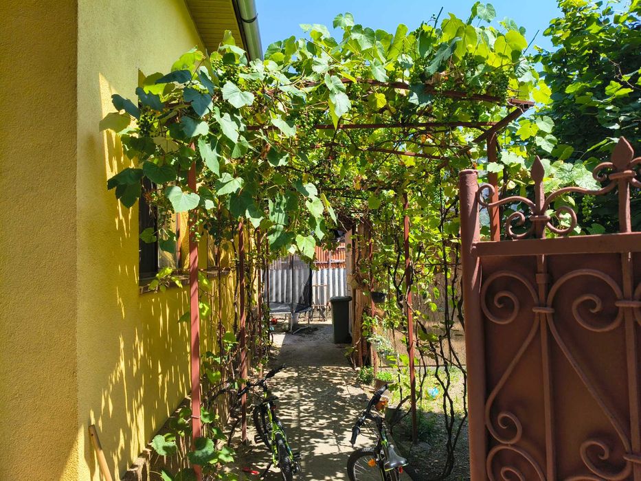 Casa in Gurahonț