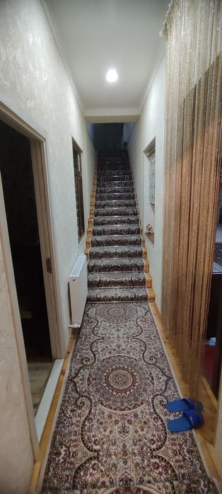 Массив Феруза ор. Докахлеб