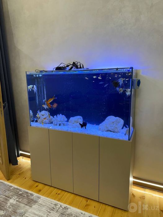 AKVARIUM zakasga yasimiza