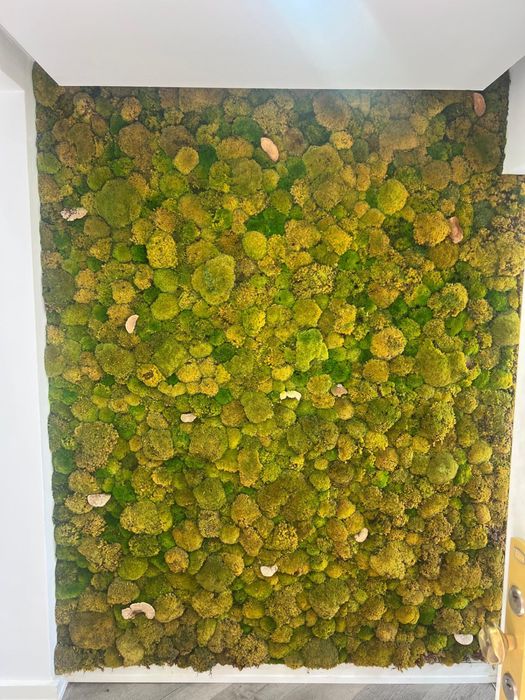 Spatiu comercial / casa de inchiriat