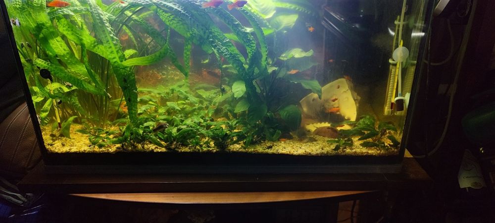 Продавам аквариум