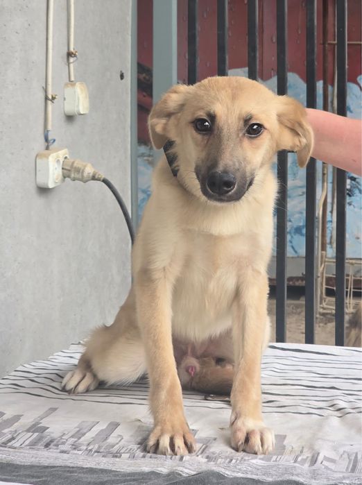 Май - ваш лучший друг ищет именно вас