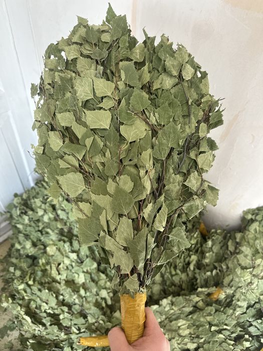 Березовые банные веники