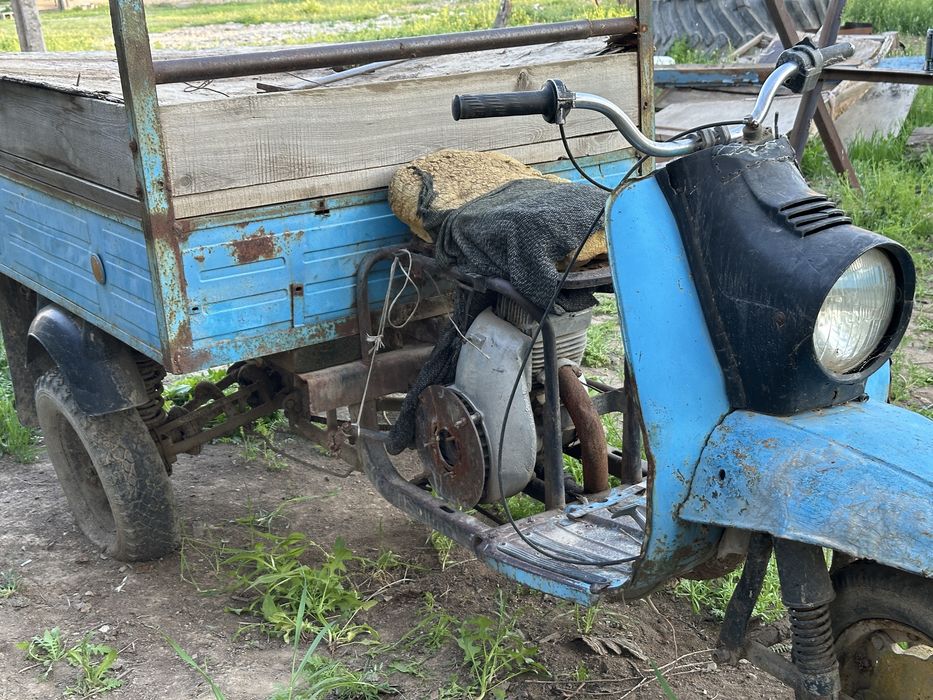 Муравей сатылады