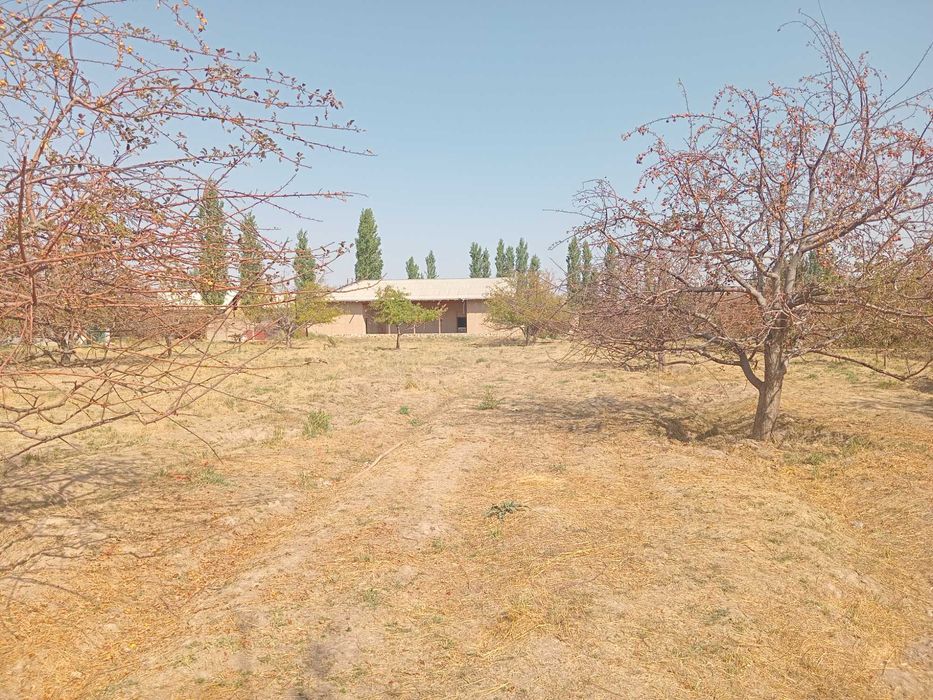 Новка кишлоги Уй ховли сотилади Участка 40 сотка